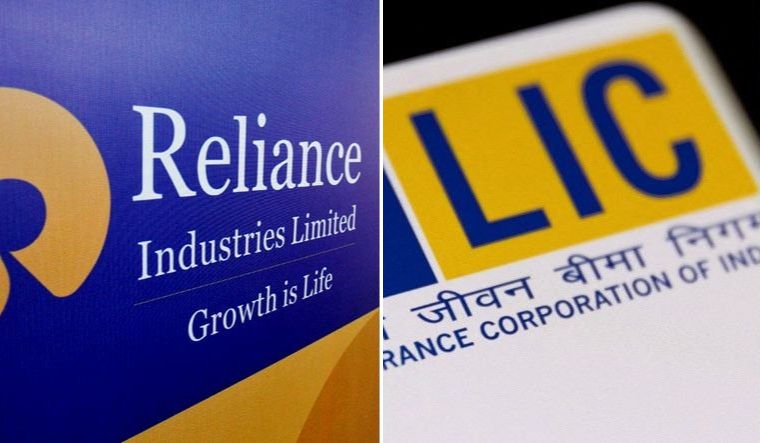Reliance Industries and Life Insurance Corporation of India took the steepest hit amid an overall bearish trend in equities